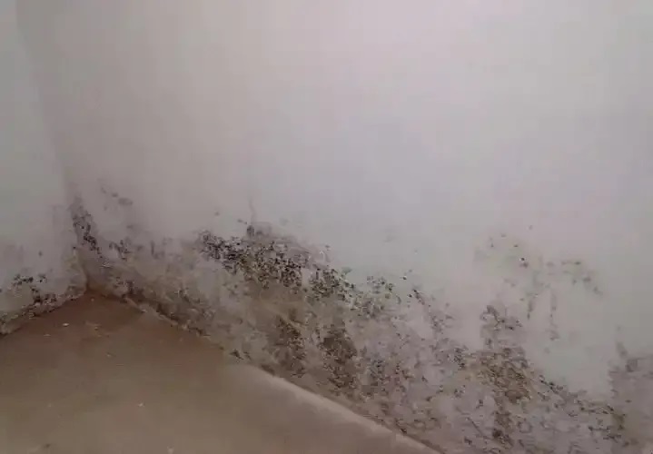 防水≠防滲！80%的人都弄錯了！